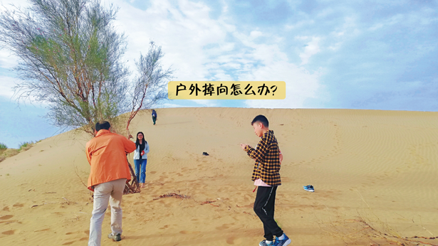 植物找方向